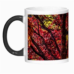 Autumn Colorful Nature Trees Morph Mugs