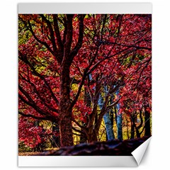 Autumn Colorful Nature Trees Canvas 16  X 20  by Sudhe