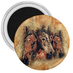 Head Horse Animal Vintage 3  Magnets