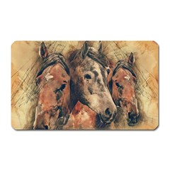 Head Horse Animal Vintage Magnet (rectangular)