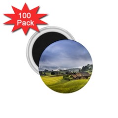 Vietnam Terraces Rice Silk 1 75  Magnets (100 Pack) 