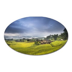 Vietnam Terraces Rice Silk Oval Magnet