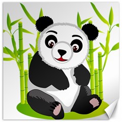 Giant Panda Bear Canvas 20  X 20 