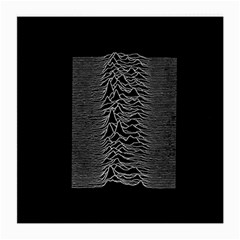 Grayscale Joy Division Graph Unknown Pleasures Medium Glasses Cloth