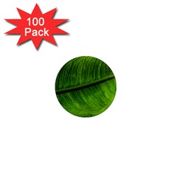 Green Leaf Plant Freshness Color 1  Mini Magnets (100 Pack)  by Pakrebo