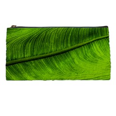 Green Leaf Plant Freshness Color Pencil Cases by Pakrebo