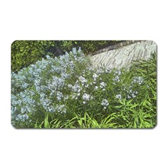 Lurie Garden Amsonia Magnet (rectangular) by Riverwoman