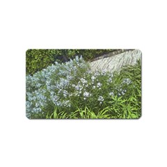 Lurie Garden Amsonia Magnet (name Card) by Riverwoman