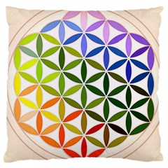 Mandala Rainbow Colorful Reiki Large Cushion Case (Two Sides)
