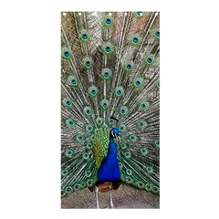 Peacock Bird Animal Feather Shower Curtain 36  X 72  (stall)  by Pakrebo