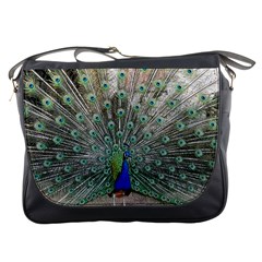 Peacock Bird Animal Feather Messenger Bag by Pakrebo