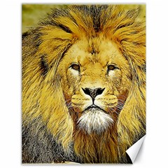 Lion Lioness Wildlife Hunter Canvas 18  X 24  by Pakrebo