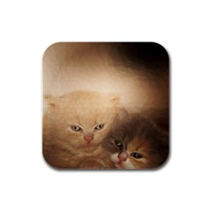 Kittens Love Rubber Square Coaster (4 Pack)  by LoolyElzayat