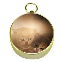 Kittens Love Gold Compasses by LoolyElzayat