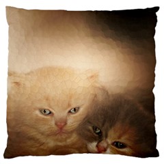 Kittens Love Standard Flano Cushion Case (two Sides) by LoolyElzayat