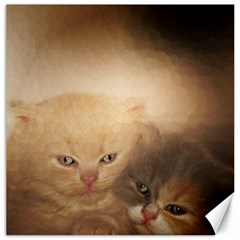 Kittens Love Canvas 20  X 20  by LoolyElzayat