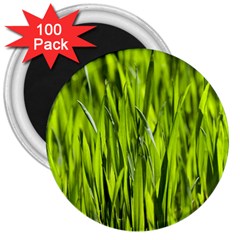Agricultural Field   3  Magnets (100 Pack) by rsooll