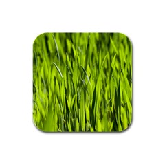 Agricultural Field   Rubber Square Coaster (4 Pack)  by rsooll