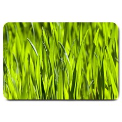 Agricultural Field   Large Doormat  by rsooll