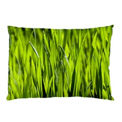 Agricultural Field   Pillow Case (two Sides) by rsooll