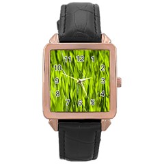 Agricultural Field   Rose Gold Leather Watch  by rsooll