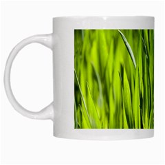 Agricultural Field   White Mugs by rsooll