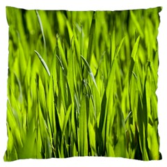 Agricultural Field   Large Cushion Case (one Side) by rsooll