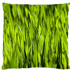 Agricultural Field   Large Flano Cushion Case (one Side) by rsooll
