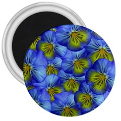Flowers Pansy Background Purple 3  Magnets