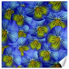 Flowers Pansy Background Purple Canvas 12  X 12  by Mariart