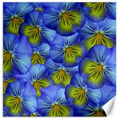 Flowers Pansy Background Purple Canvas 20  X 20  by Mariart