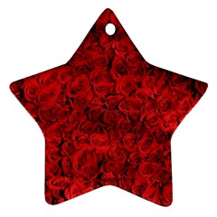 Rose Roses Flowers Red Valentine Ornament (star) by Pakrebo