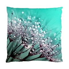 Dandelion Seeds Flower Nature Standard Cushion Case (two Sides) by Pakrebo