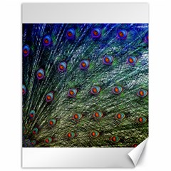 Peacock Feathers Colorful Feather Canvas 18  X 24  by Pakrebo