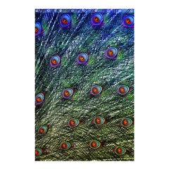 Peacock Feathers Colorful Feather Shower Curtain 48  X 72  (small)  by Pakrebo