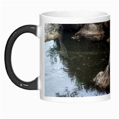 Garden Of The Phoenix Morph Mugs by Riverwoman