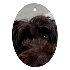 Laying In Dog Bed Oval Ornament (two Sides)