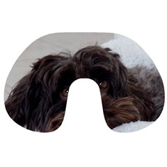 Laying In Dog Bed Travel Neck Pillows by pauchesstore