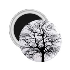 Tree Silhouette Winter Plant 2.25  Magnets