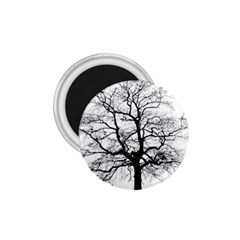 Tree Silhouette Winter Plant 1.75  Magnets