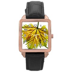 Leaf Grape Vine Sunlight Garden Rose Gold Leather Watch  by Pakrebo