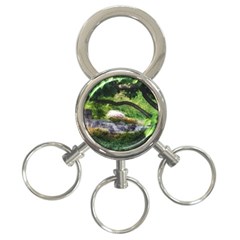 Chicago Garden Of The Phoenix 3-ring Key Chains by Riverwoman
