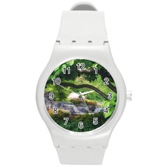 Chicago Garden Of The Phoenix Round Plastic Sport Watch (m) by Riverwoman