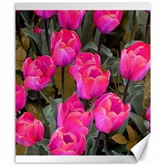 Pink Tulips Canvas 20  X 24  by snowwhitegirl