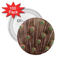 Peacock Feather Bird Exhibition 2 25  Buttons (100 Pack)  by Pakrebo
