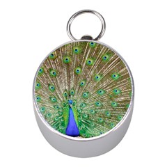 Peacock Color Bird Colorful Mini Silver Compasses by Pakrebo