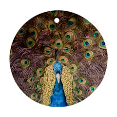 Peacock Feather Peacock Feather Ornament (round)