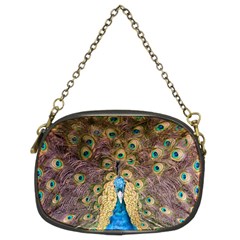 Peacock Feather Peacock Feather Chain Purse (two Sides)