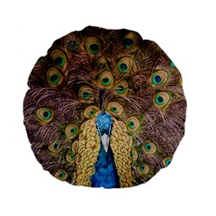 Peacock Feather Peacock Feather Standard 15  Premium Round Cushions by Pakrebo