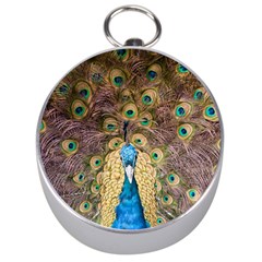 Peacock Feather Peacock Feather Silver Compasses by Pakrebo